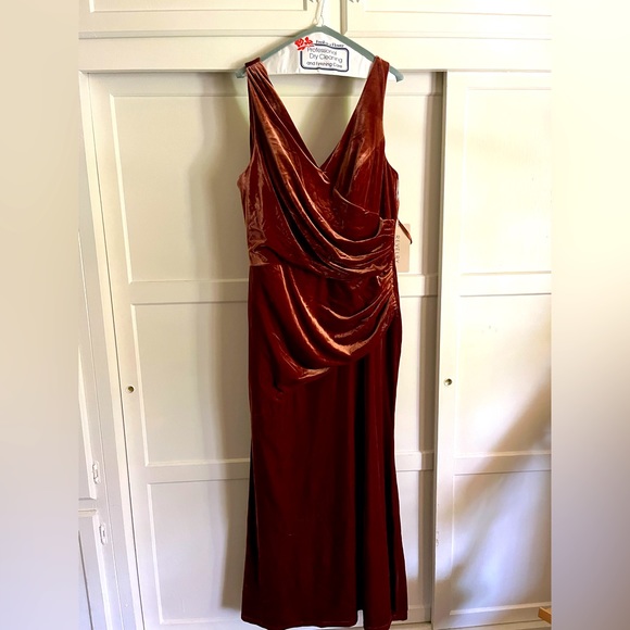 NWT Revelry Dawson Terra Cotta Velvet Dress - Bridesmaid or MoB - Picture 4 of 13
